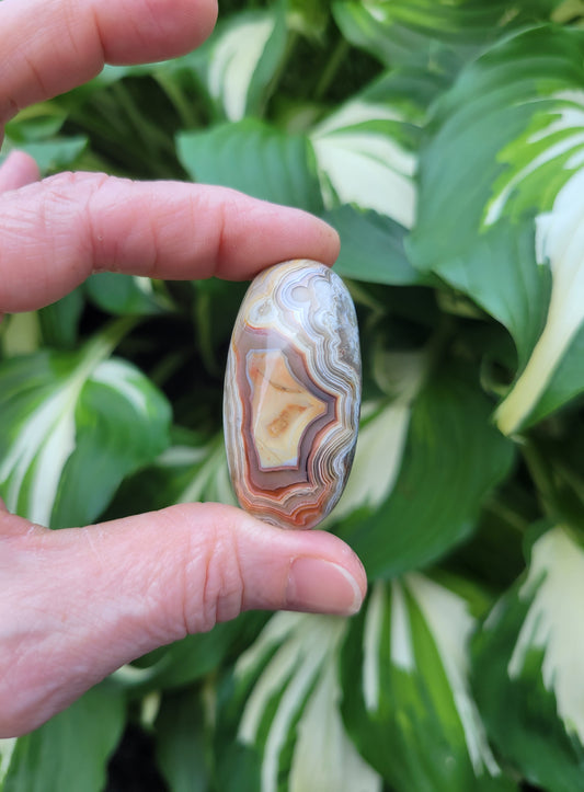 Crazy Lace Agate Shiva Lingham from India