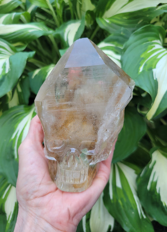 Himalayan Included Rutilated Quartz Skull from India