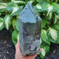 Himalayan Smokey Cathedral Quartz with Rutile and Clinochlore from Himachal Pradesh, India