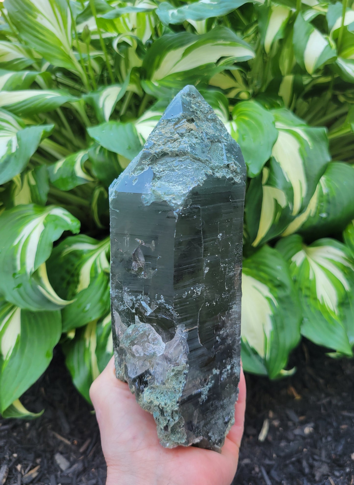 Himalayan Smokey Cathedral Quartz with Rutile and Clinochlore from Himachal Pradesh, India