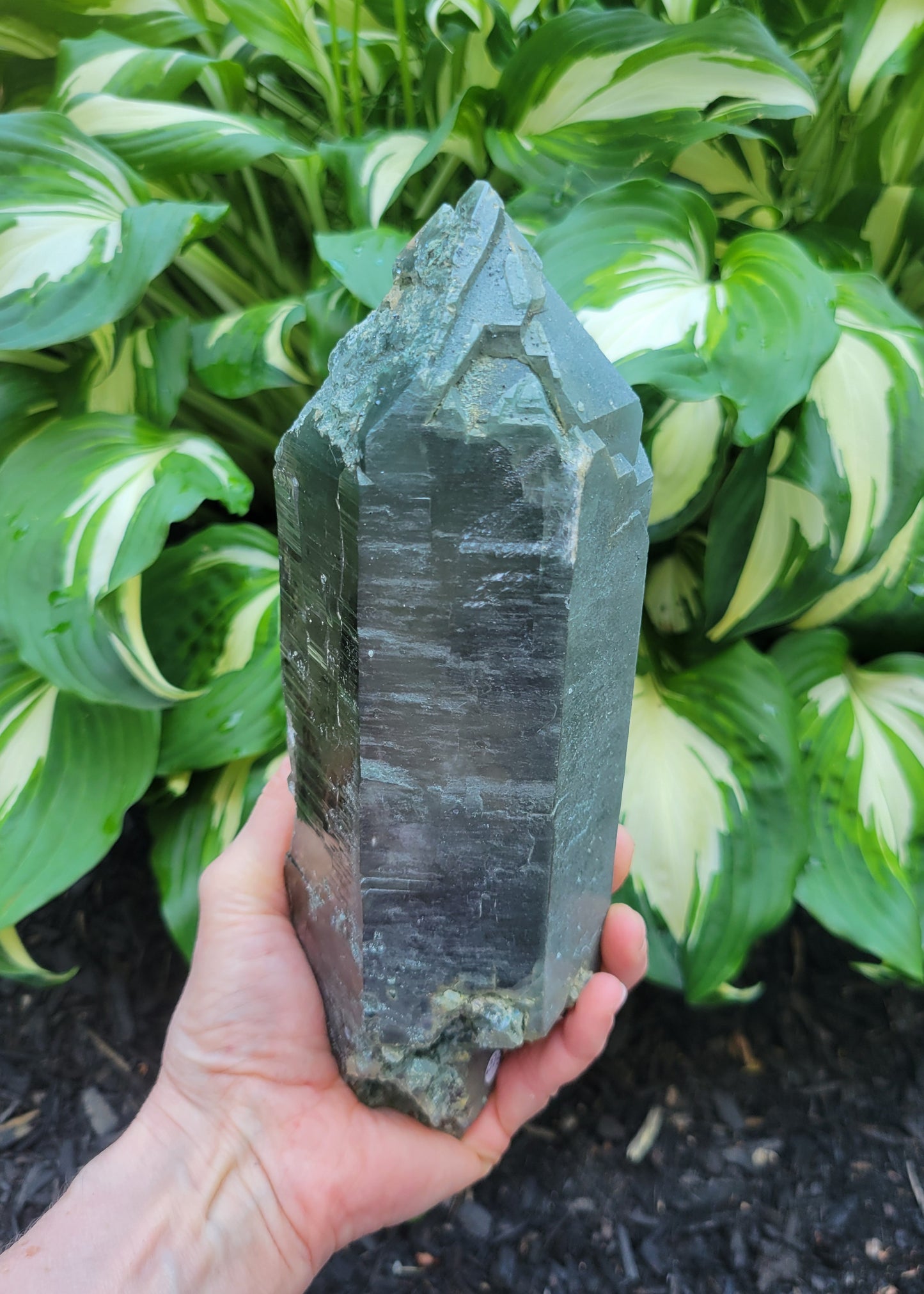 Himalayan Smokey Cathedral Quartz with Rutile and Clinochlore from Himachal Pradesh, India