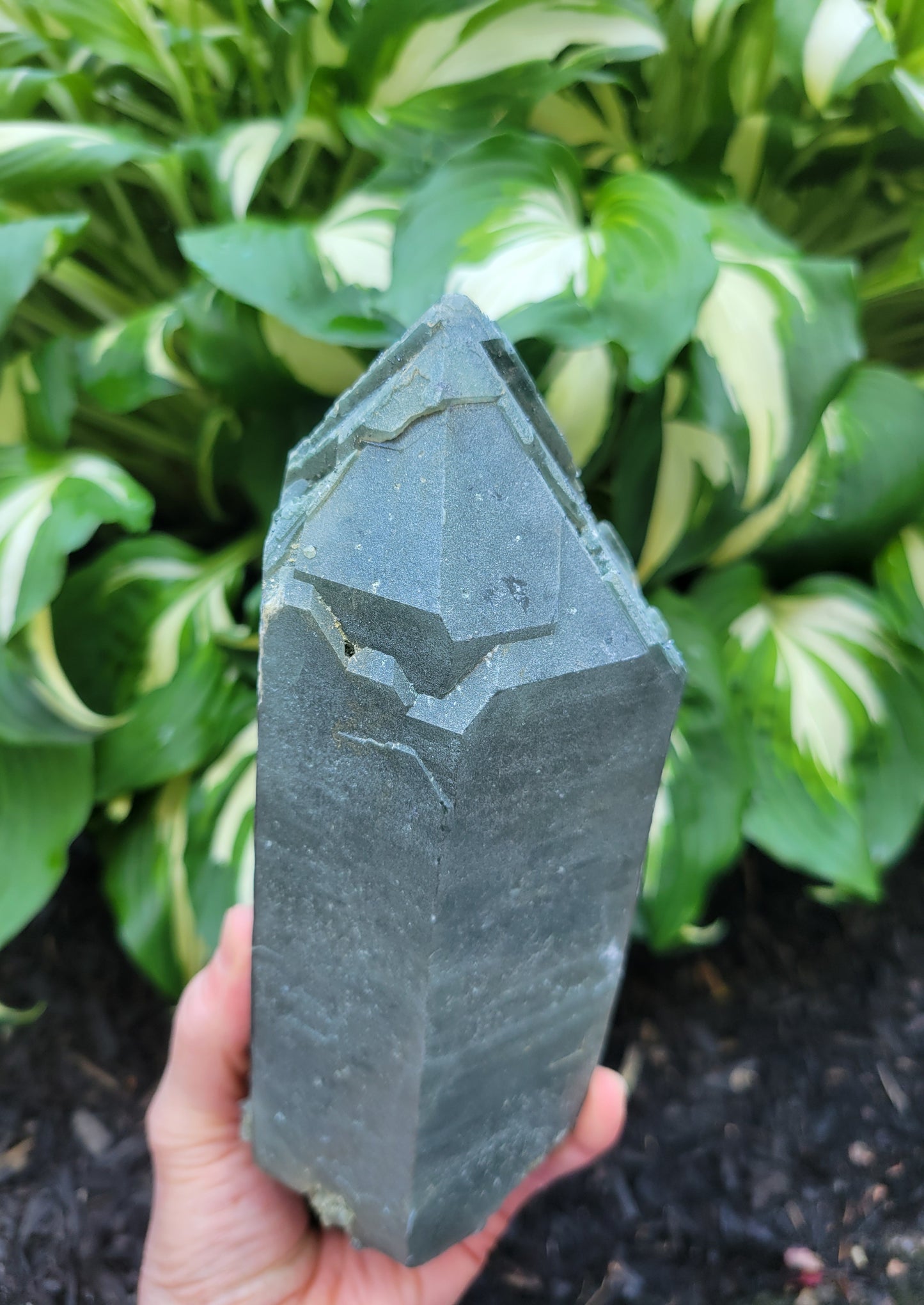 Himalayan Smokey Cathedral Quartz with Rutile and Clinochlore from Himachal Pradesh, India