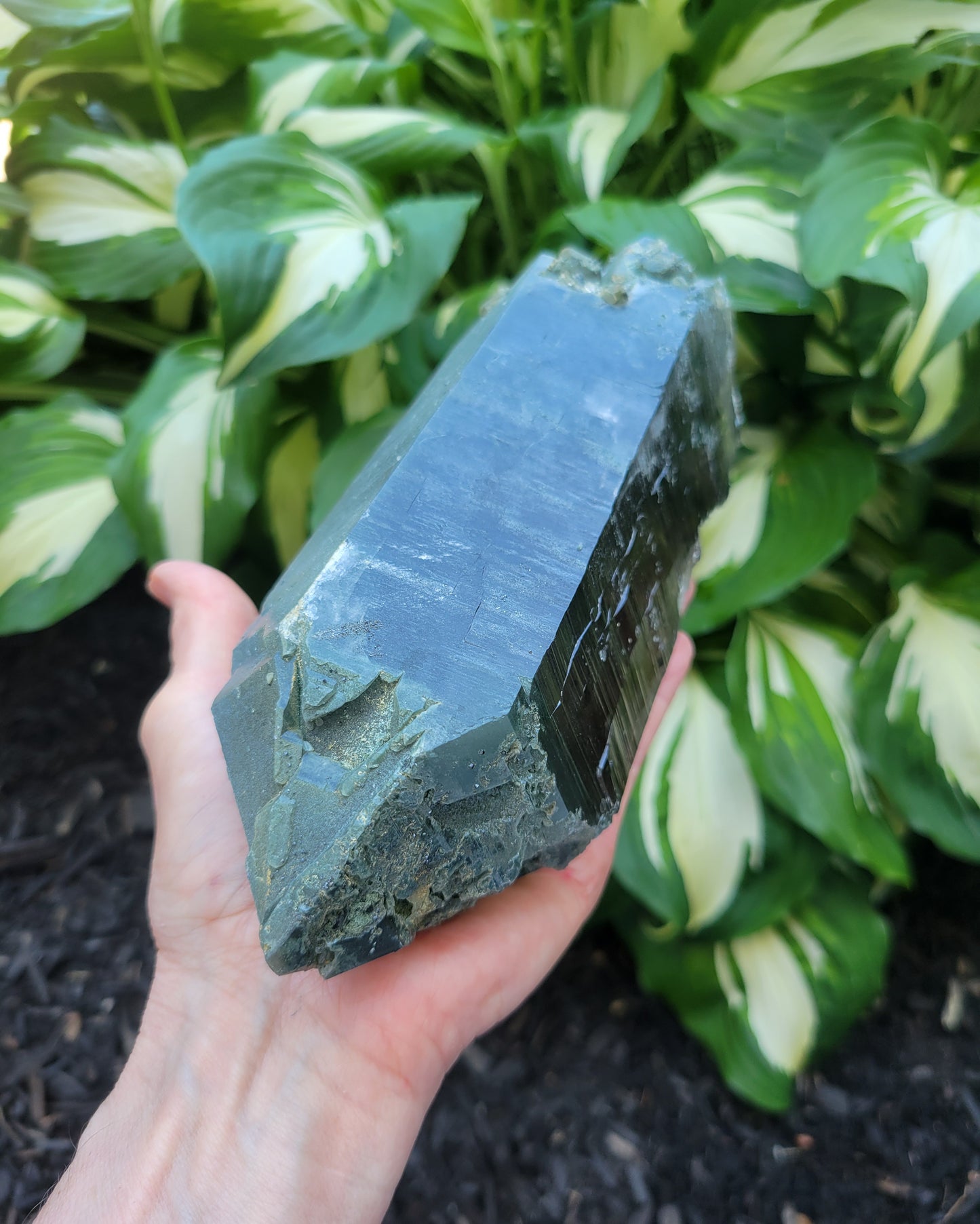 Himalayan Smokey Cathedral Quartz with Rutile and Clinochlore from Himachal Pradesh, India