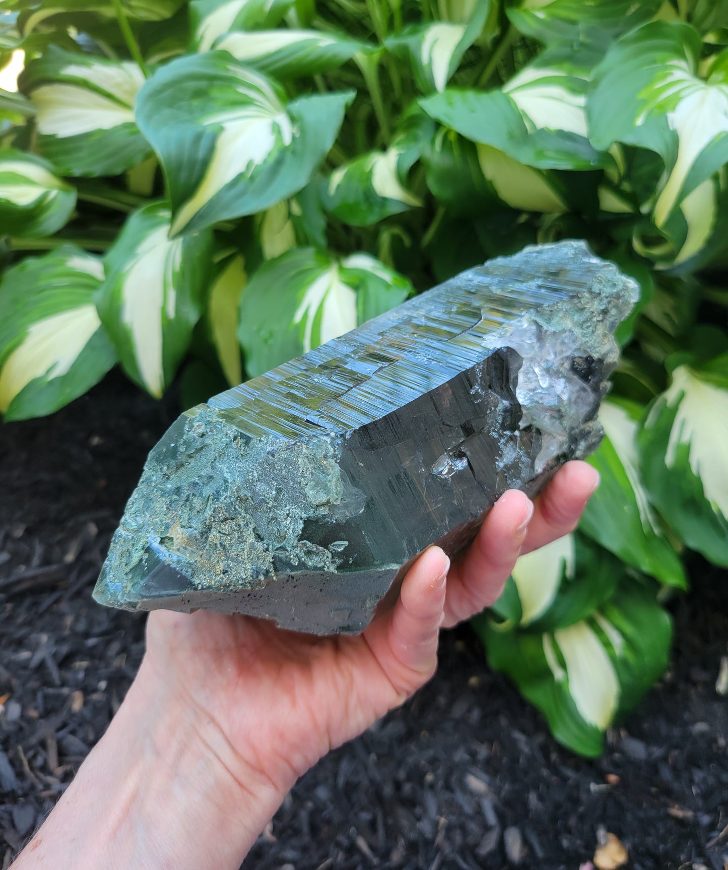 Himalayan Smokey Cathedral Quartz with Rutile and Clinochlore from Himachal Pradesh, India