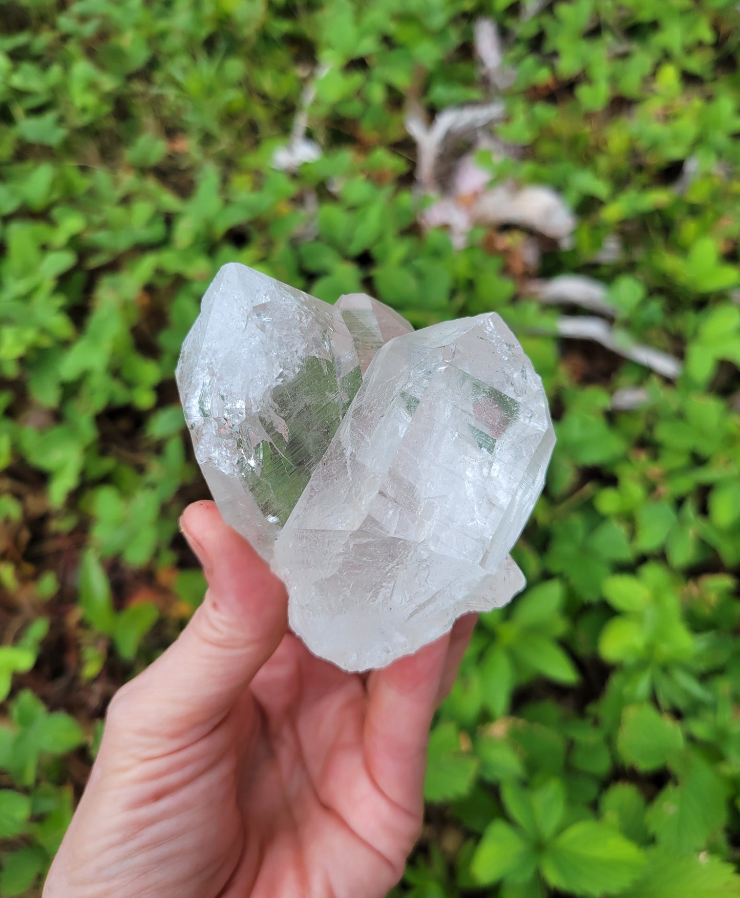 Himalayan Cathedral Quartz Cluster from Himachal Pradesh, India