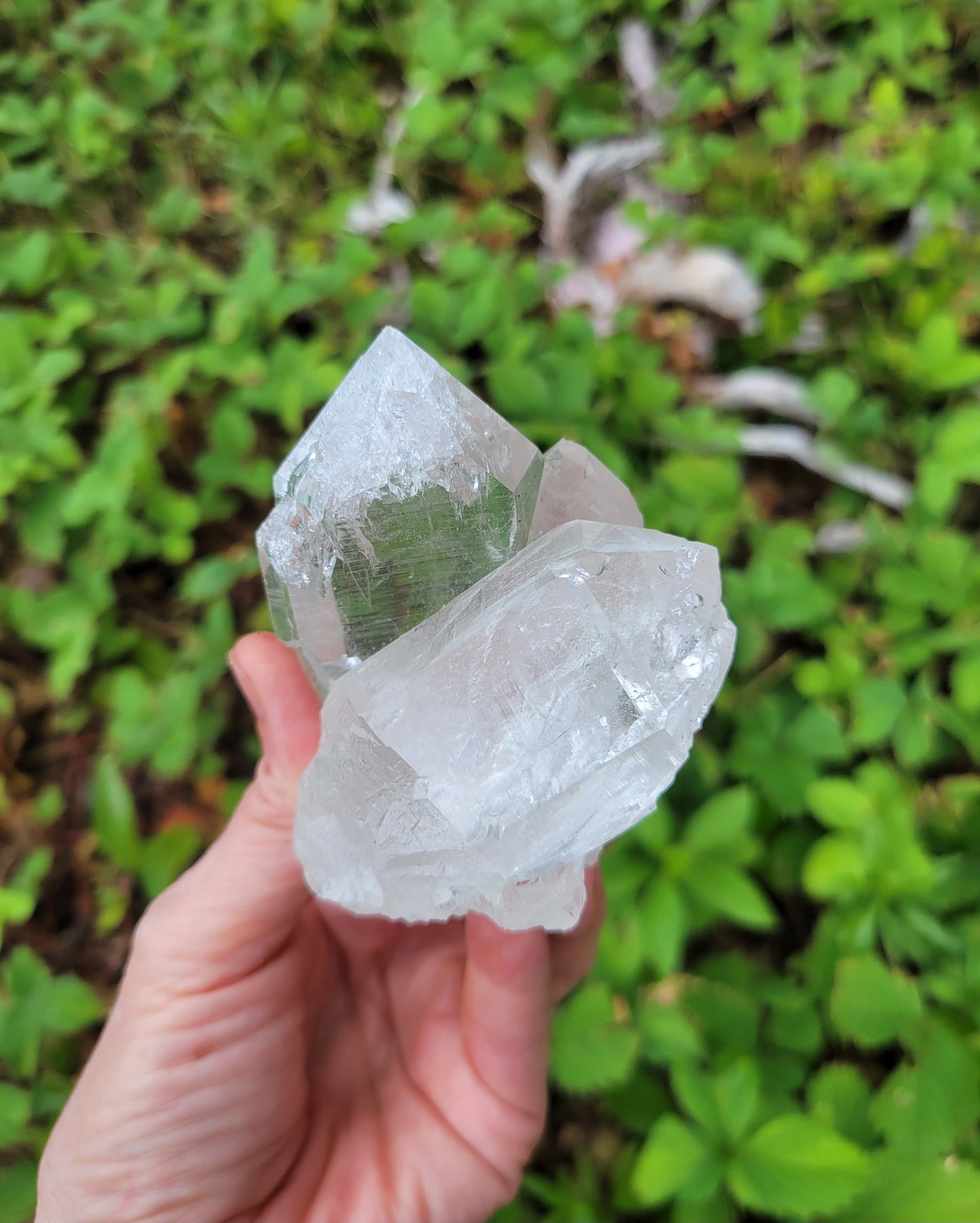 Himalayan Cathedral Quartz Cluster from Himachal Pradesh, India