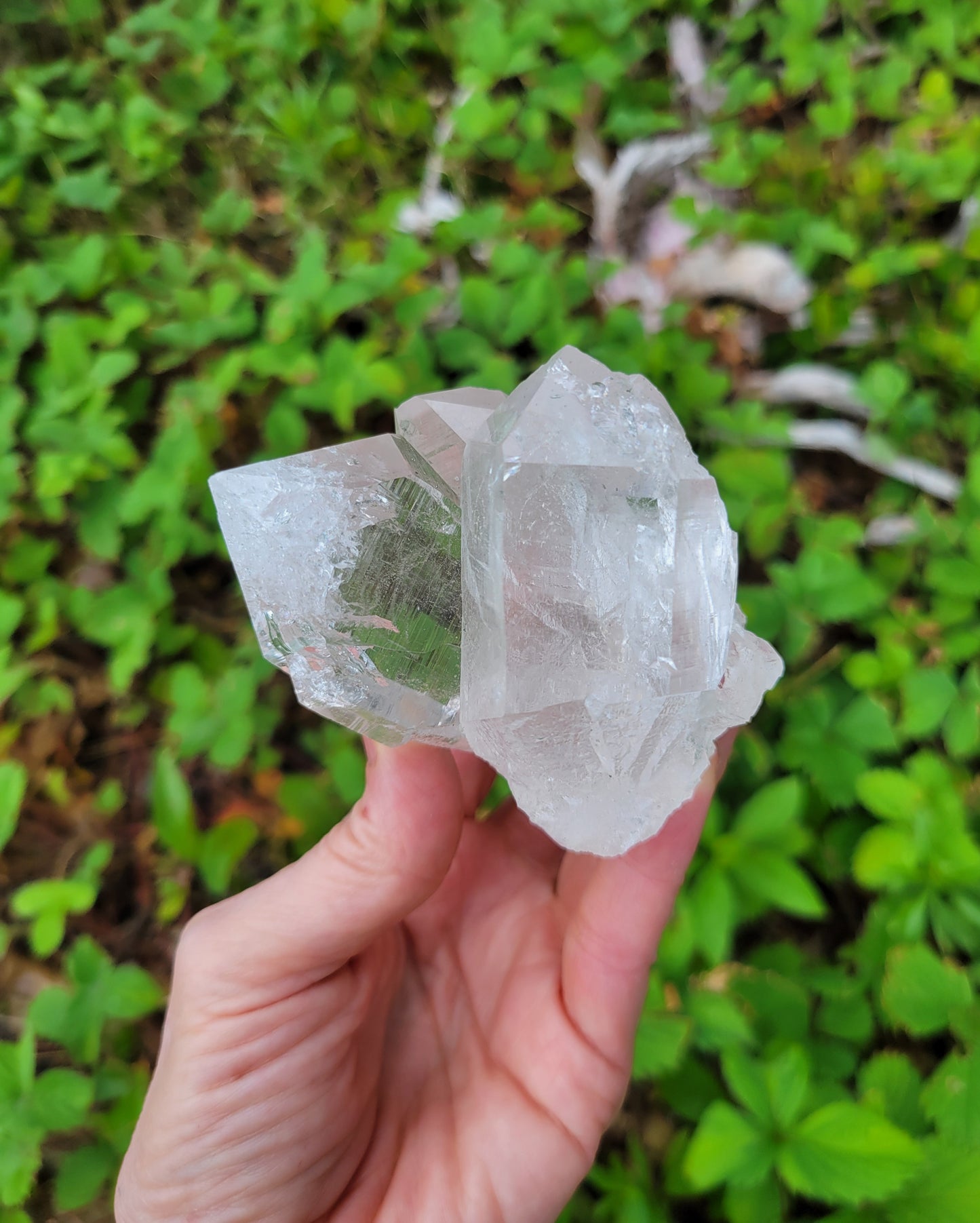 Himalayan Cathedral Quartz Cluster from Himachal Pradesh, India