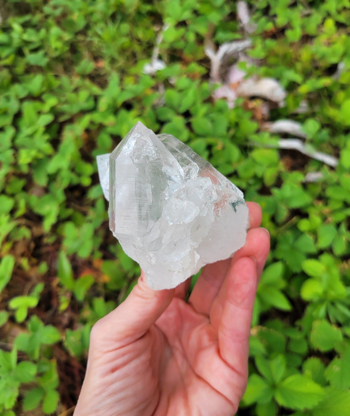 Himalayan Cathedral Quartz Cluster from Himachal Pradesh, India