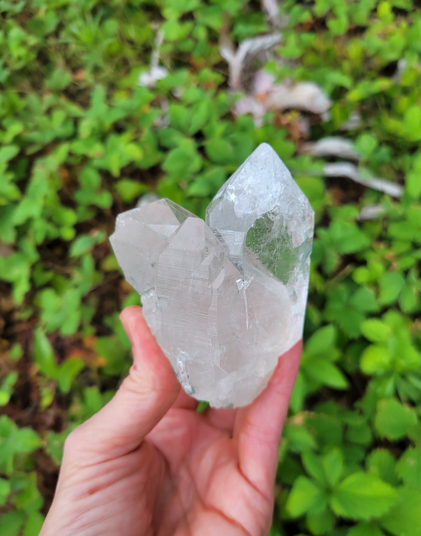 Himalayan Cathedral Quartz Cluster from Himachal Pradesh, India