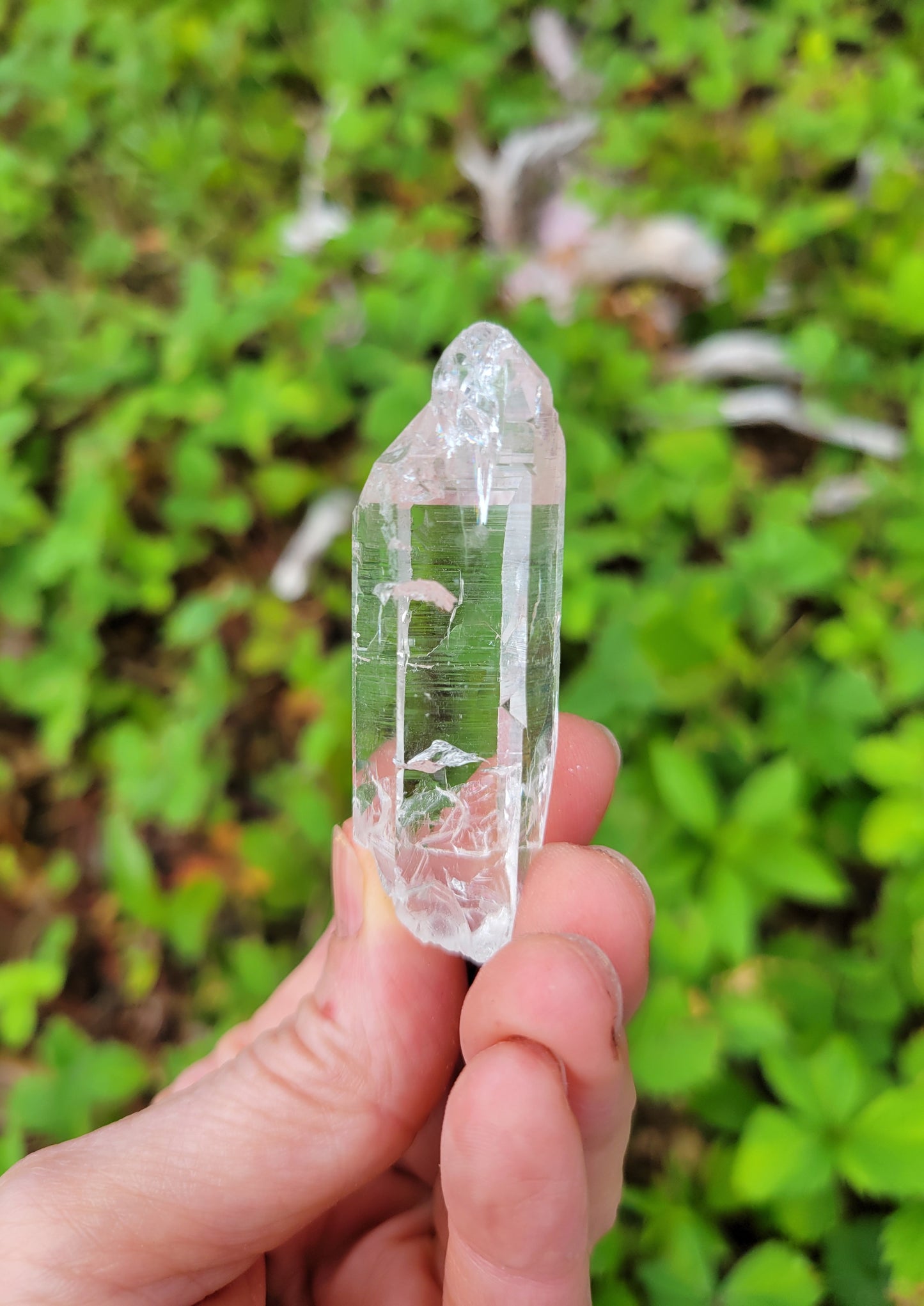 Himalayan Cathedral Quartz Point from Himachal Pradesh, India