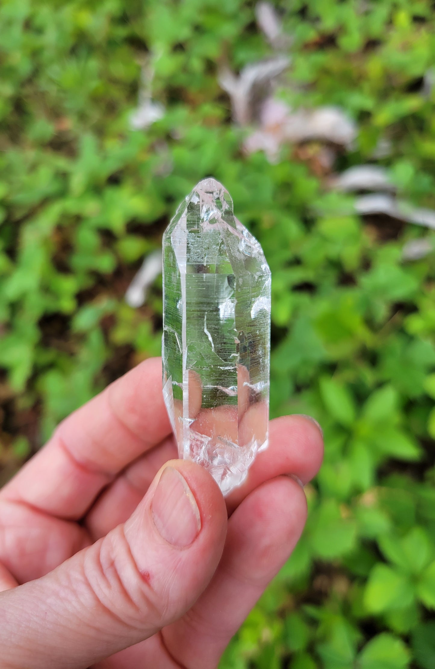 Himalayan Cathedral Quartz Point from Himachal Pradesh, India