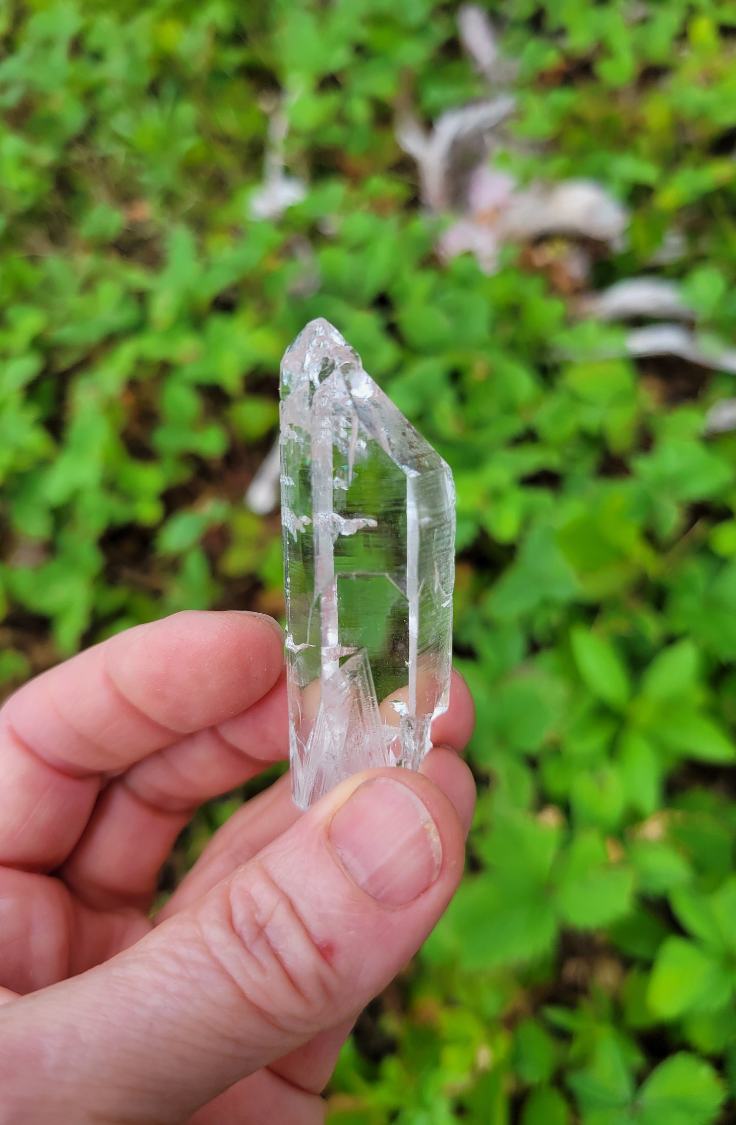 Himalayan Cathedral Quartz Point from Himachal Pradesh, India