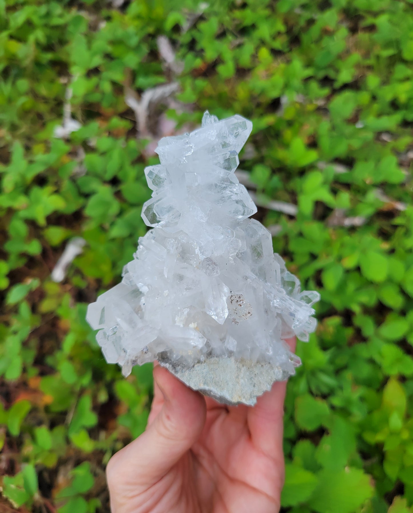 Faden Quartz Cluster from Pakistan