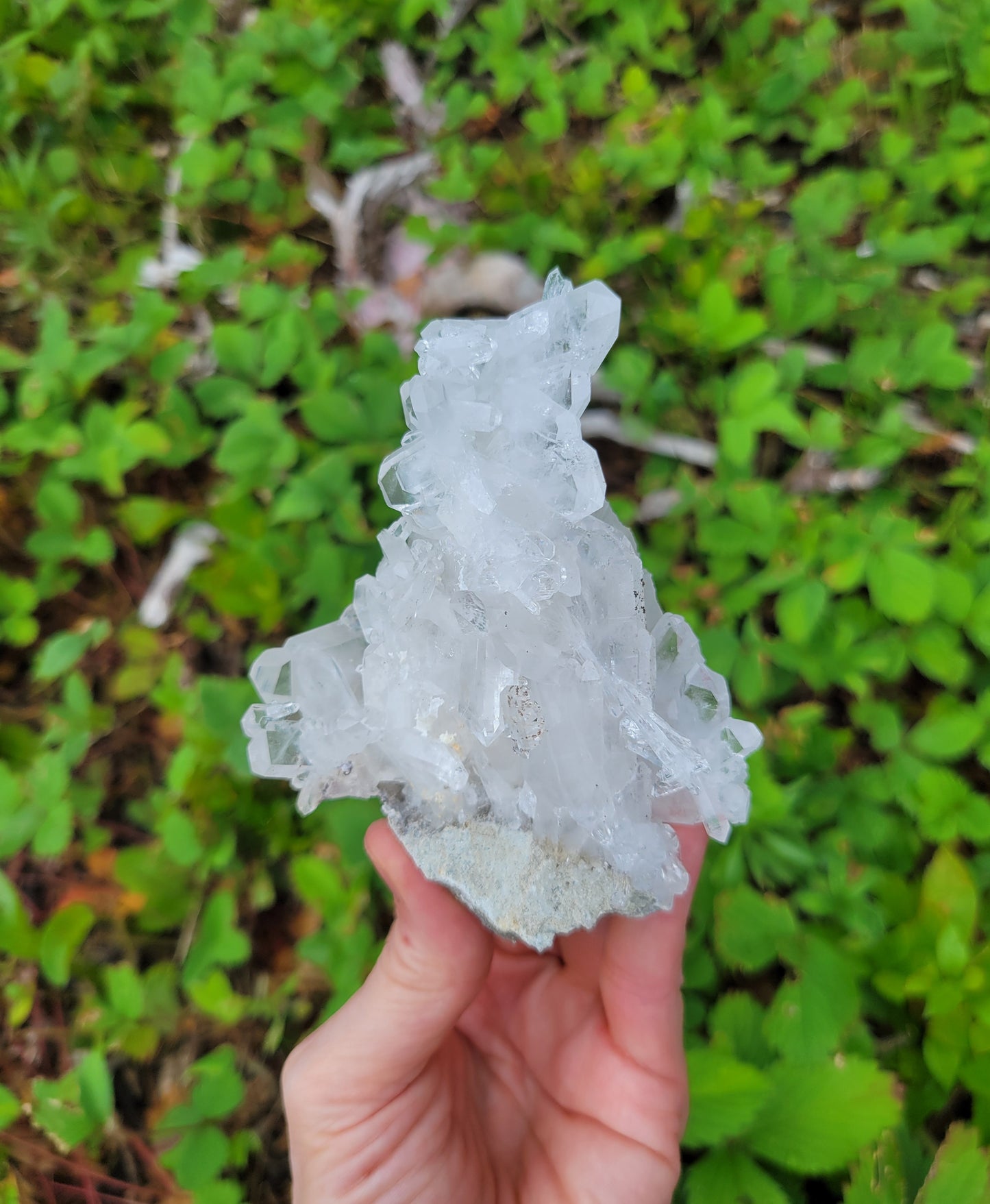 Faden Quartz Cluster from Pakistan