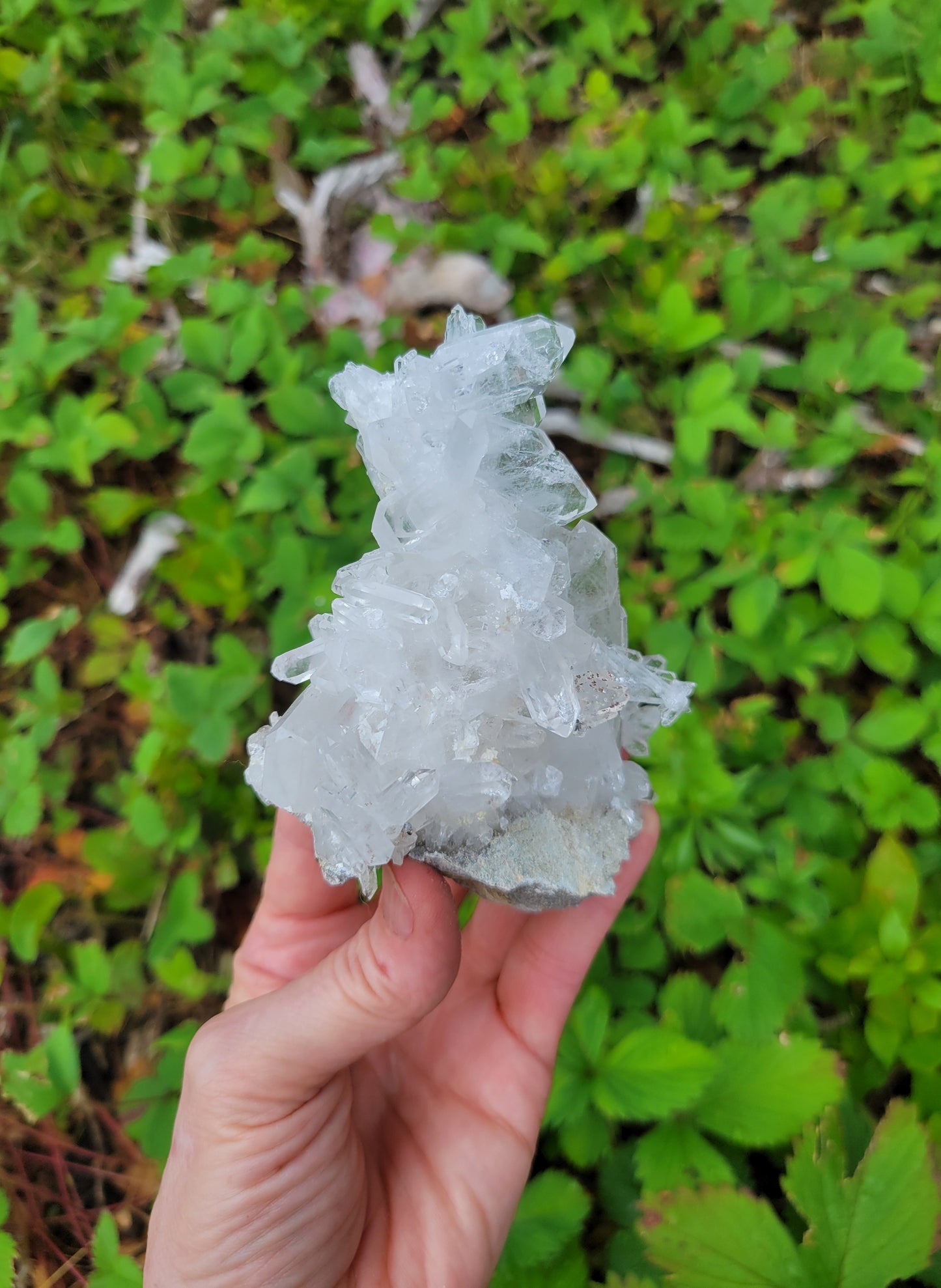 Faden Quartz Cluster from Pakistan