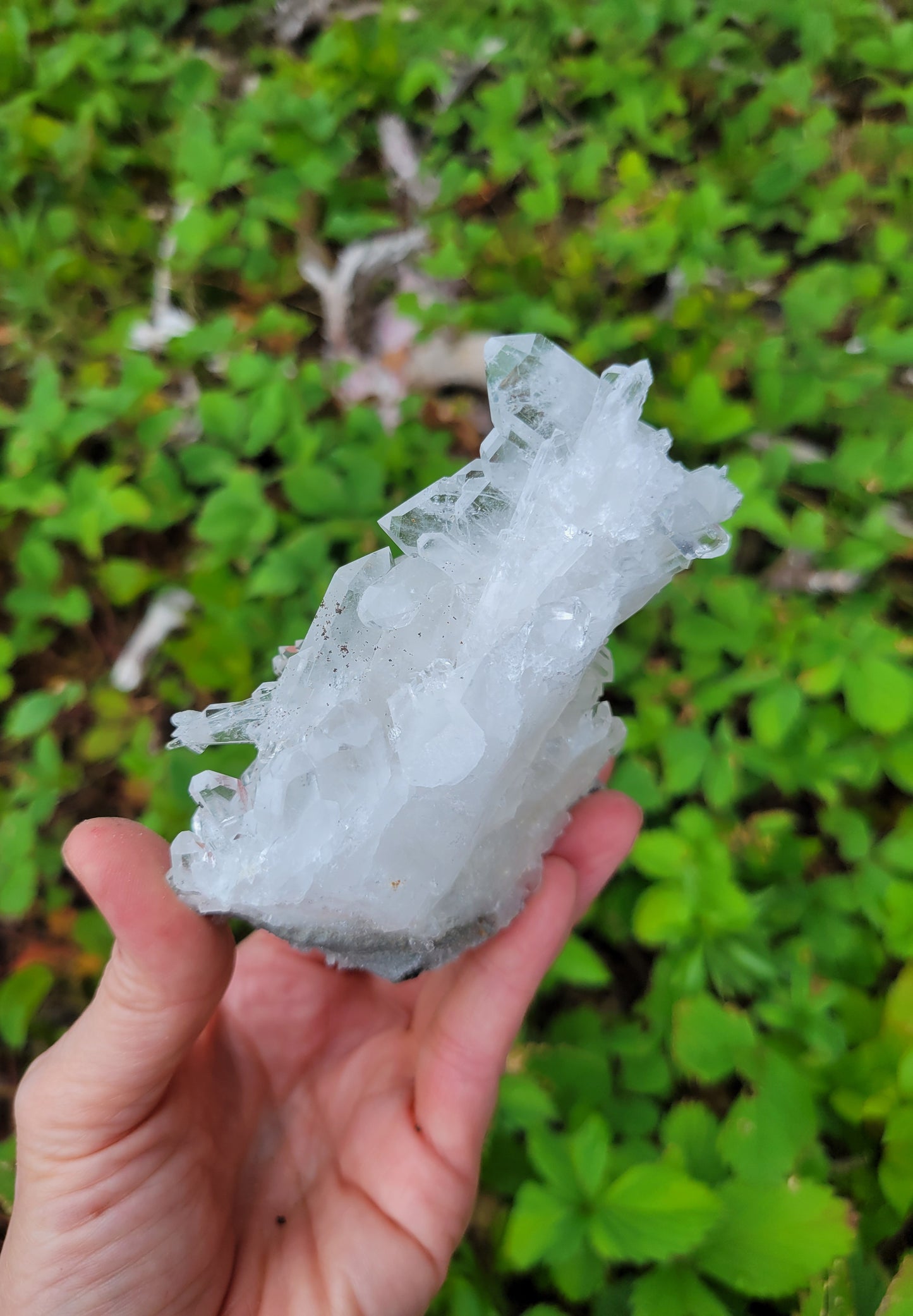 Faden Quartz Cluster from Pakistan