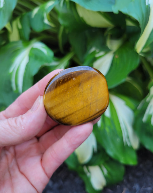 Tiger's Eye Flat Stone from South Africa