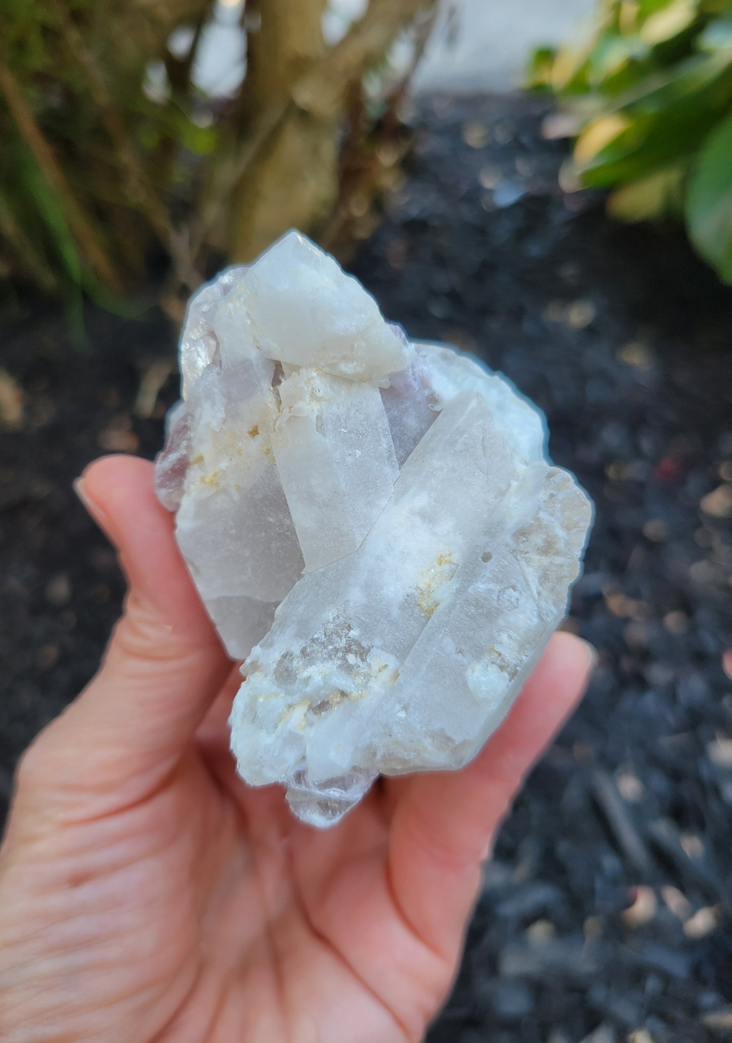 Lepidolite, Smokey Quartz and Cleavelandite from Brazil