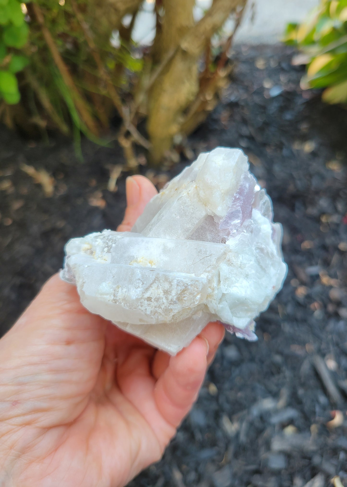 Lepidolite, Smokey Quartz and Cleavelandite from Brazil