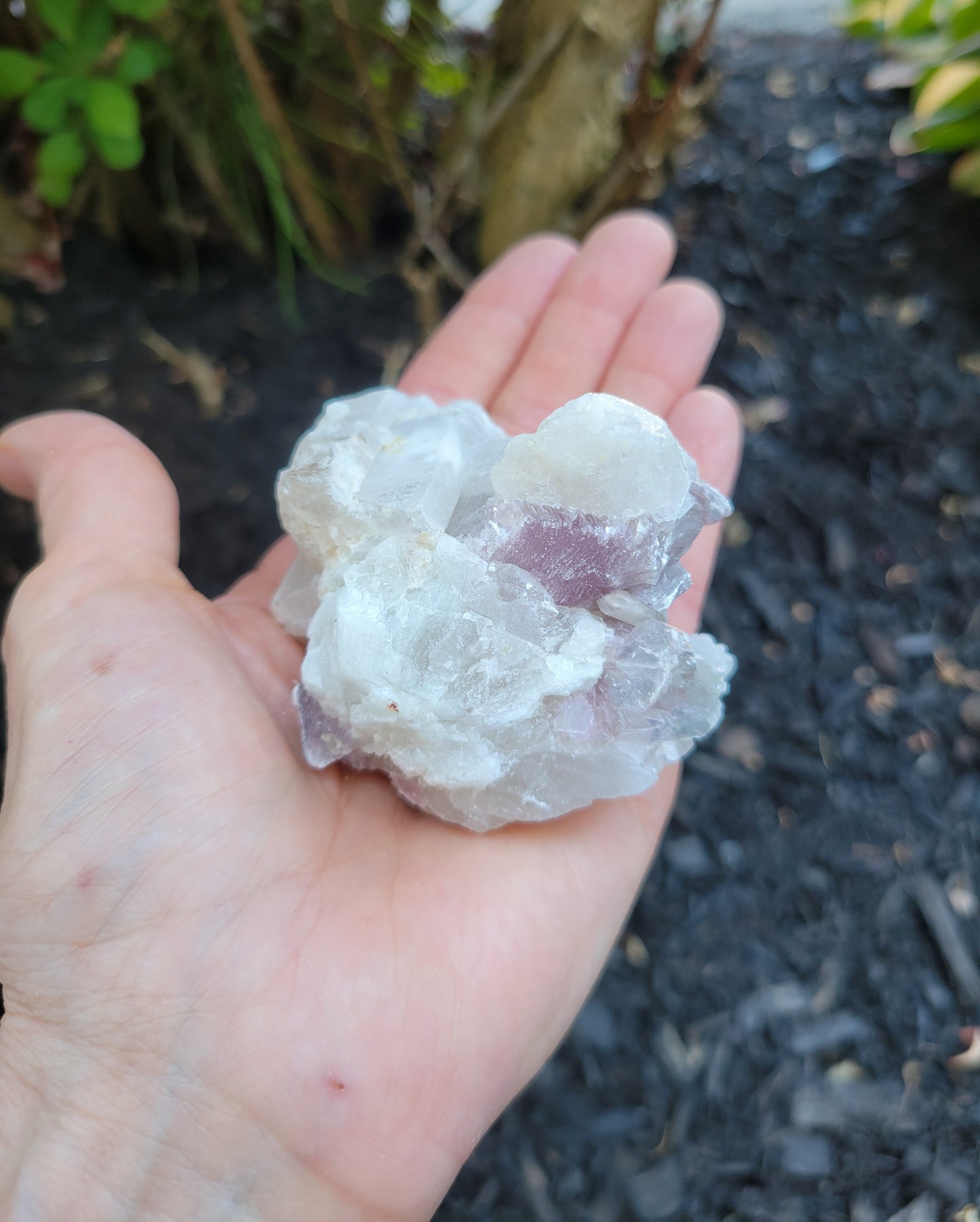 Lepidolite, Smokey Quartz and Cleavelandite from Brazil