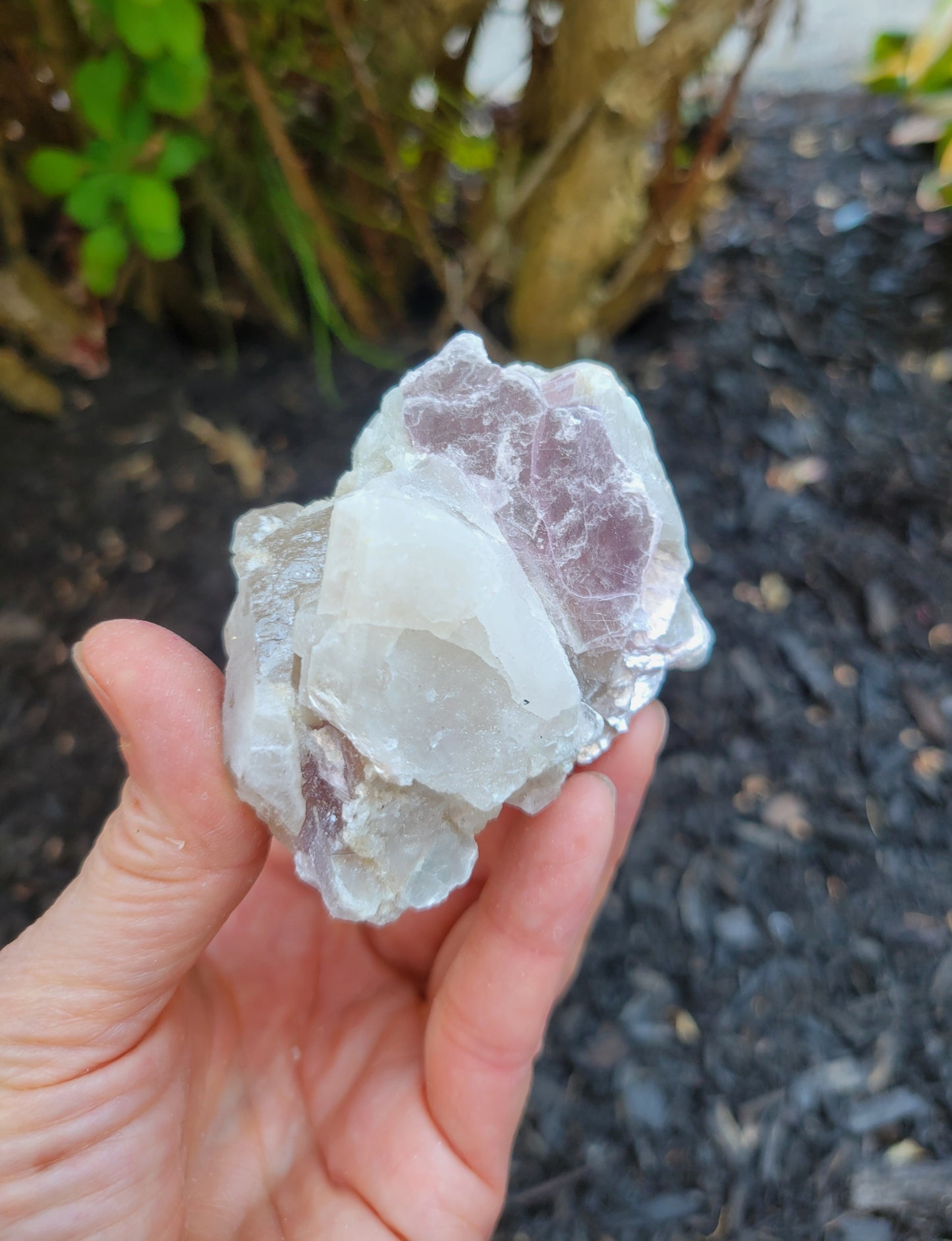 Lepidolite, Smokey Quartz and Cleavelandite from Brazil