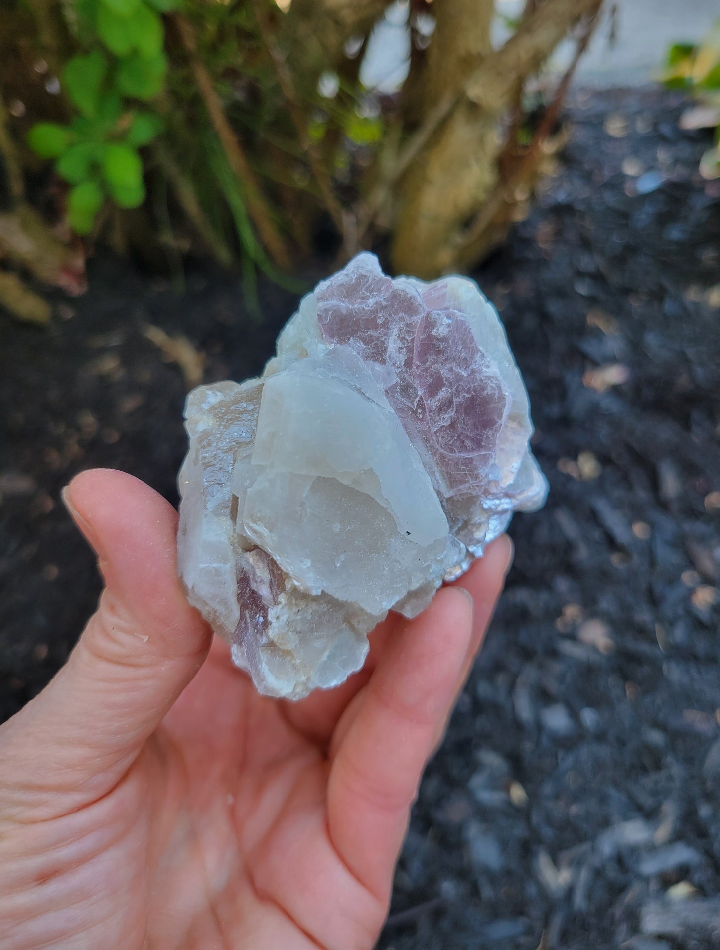 Lepidolite, Smokey Quartz and Cleavelandite from Brazil