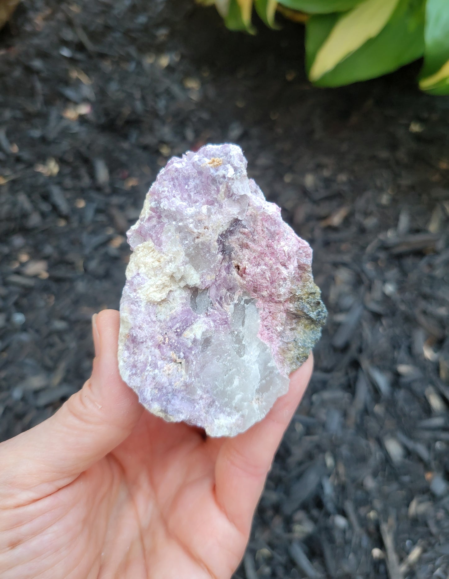 Lepidolite, Tourmalines, Smokey Quartz and Cleavelandite from Brazil