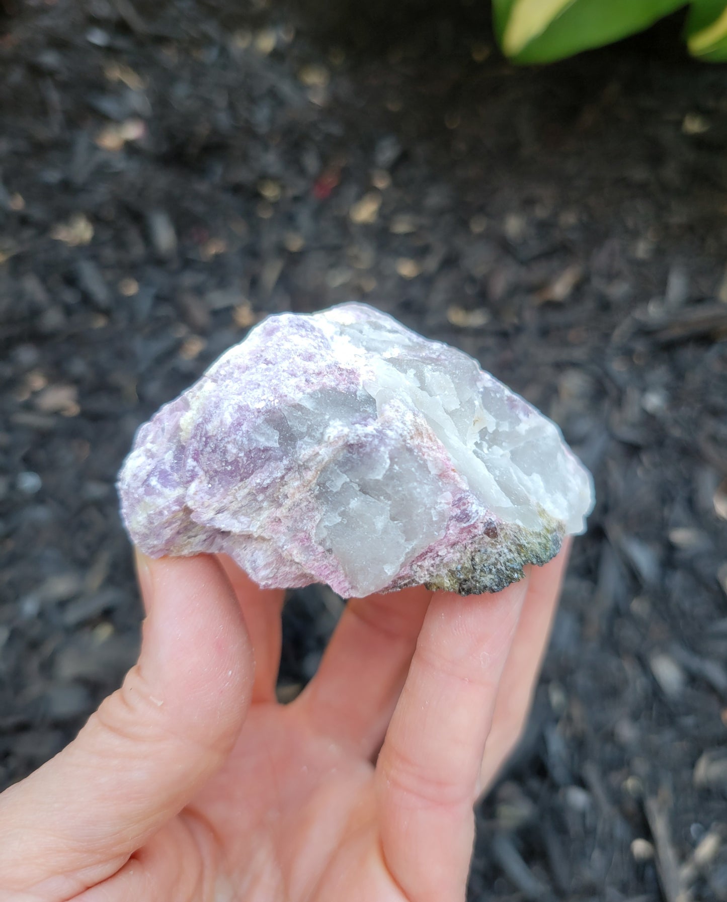 Lepidolite, Tourmalines, Smokey Quartz and Cleavelandite from Brazil