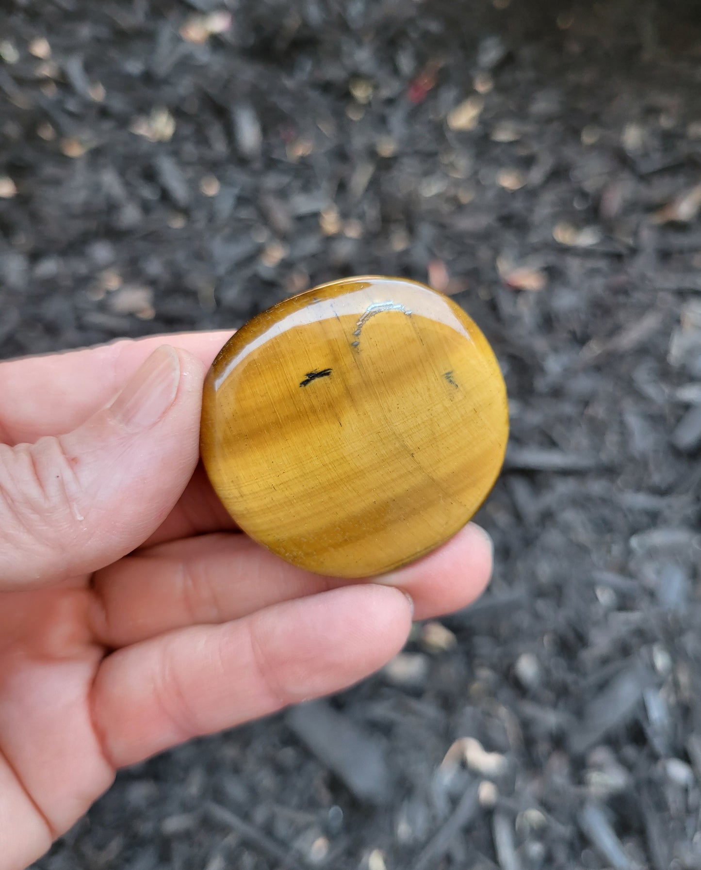 Tiger's Eye Flat Stone from South Africa