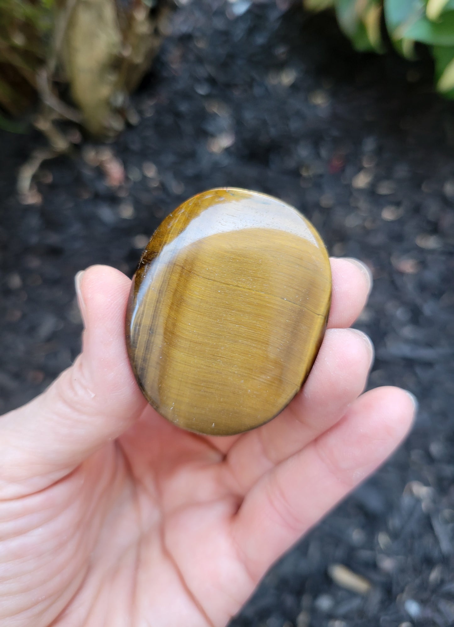 Tiger's Eye Flat Stone from South Africa