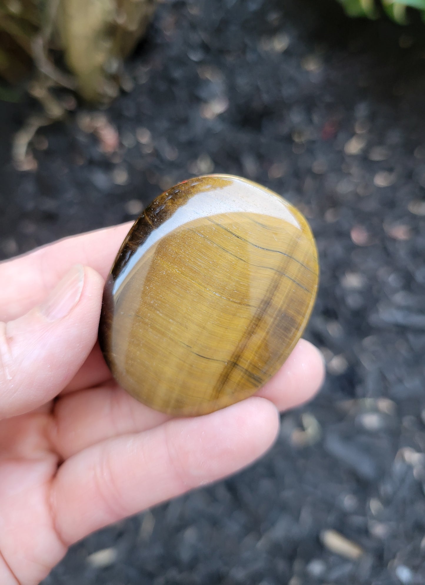 Tiger's Eye Flat Stone from South Africa