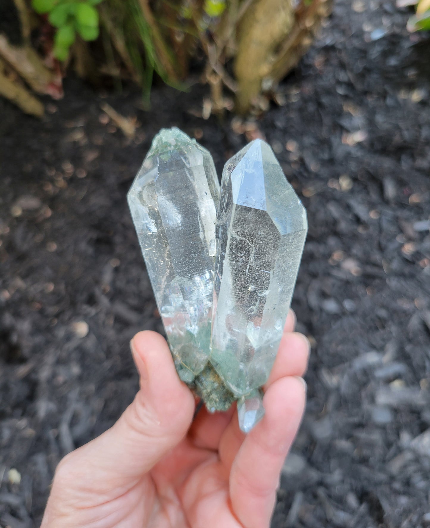 Himalayan Cathedral Quartz Twin with Clinochlore Phantom from Himachal Pradesh, India