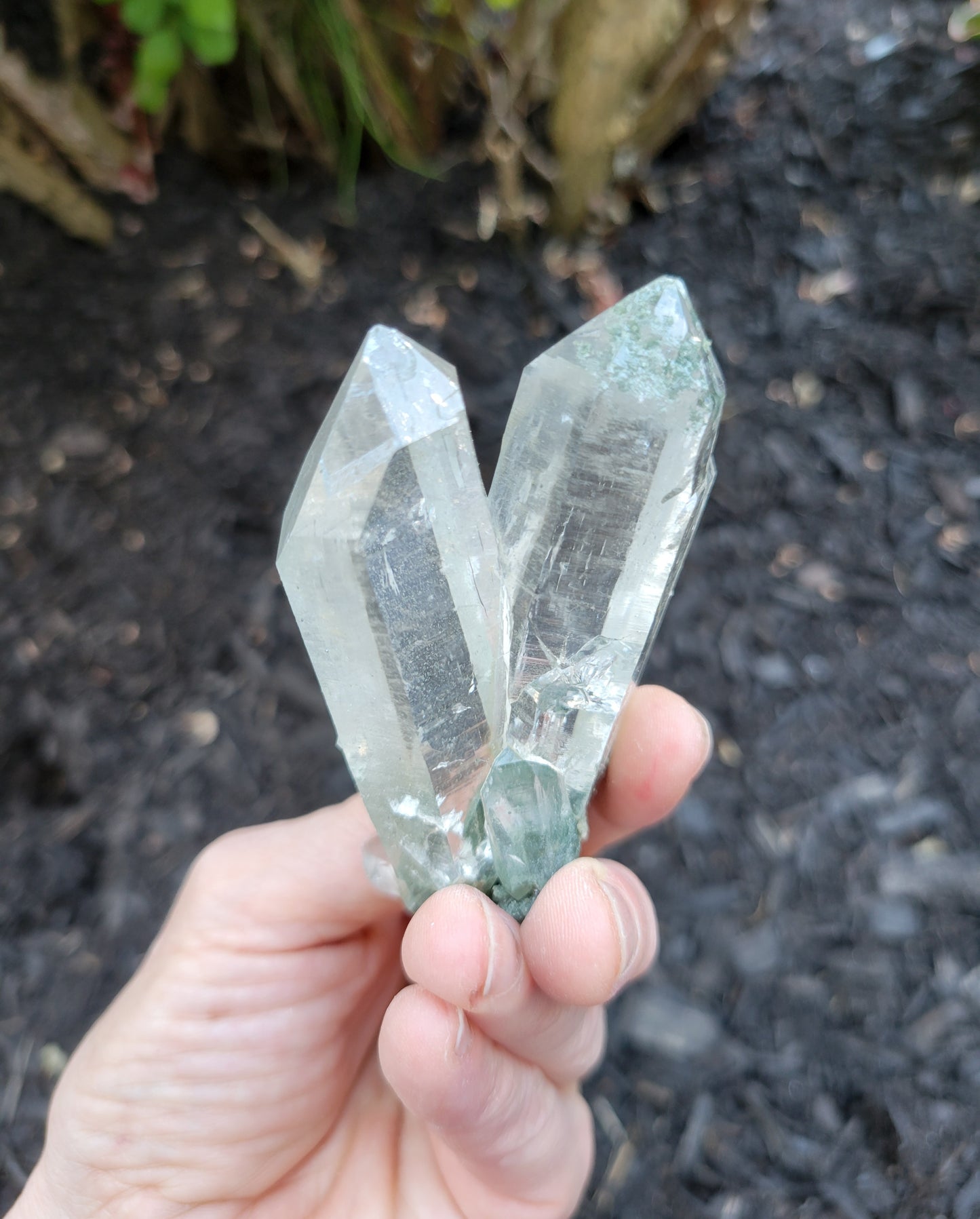 Himalayan Cathedral Quartz Twin with Clinochlore Phantom from Himachal Pradesh, India