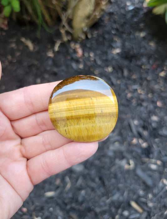 Tiger's Eye Flat Stone from South Africa