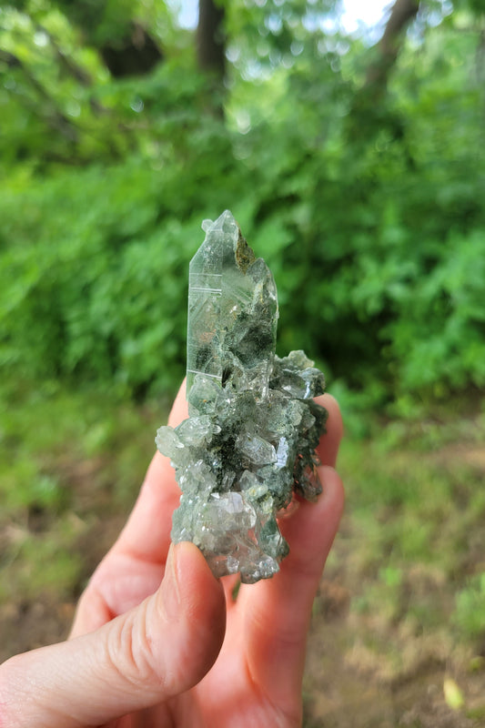 Himalayan Quartz Cluster with Rutile and Clinochlore from Himachal Pradesh, India