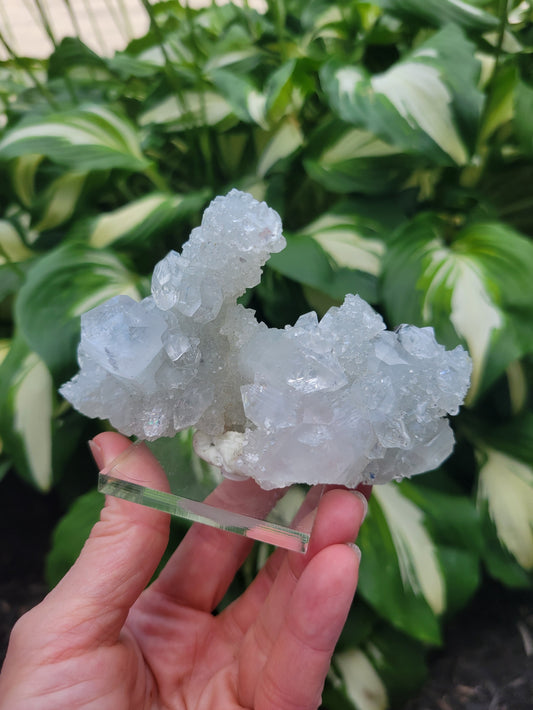 Apophyllite Stalactite from India