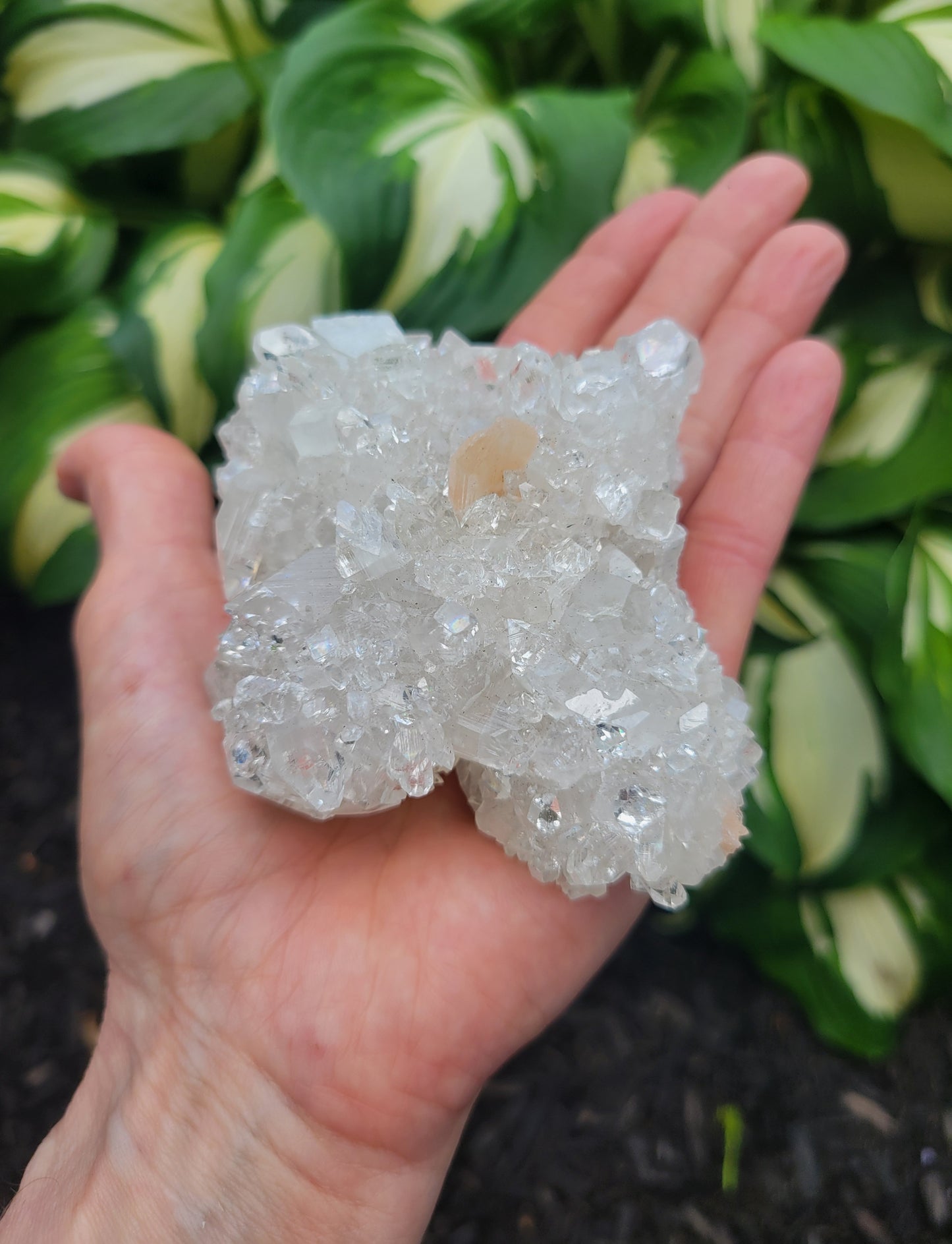 Apophyllite, Calcite and Stilbite from India