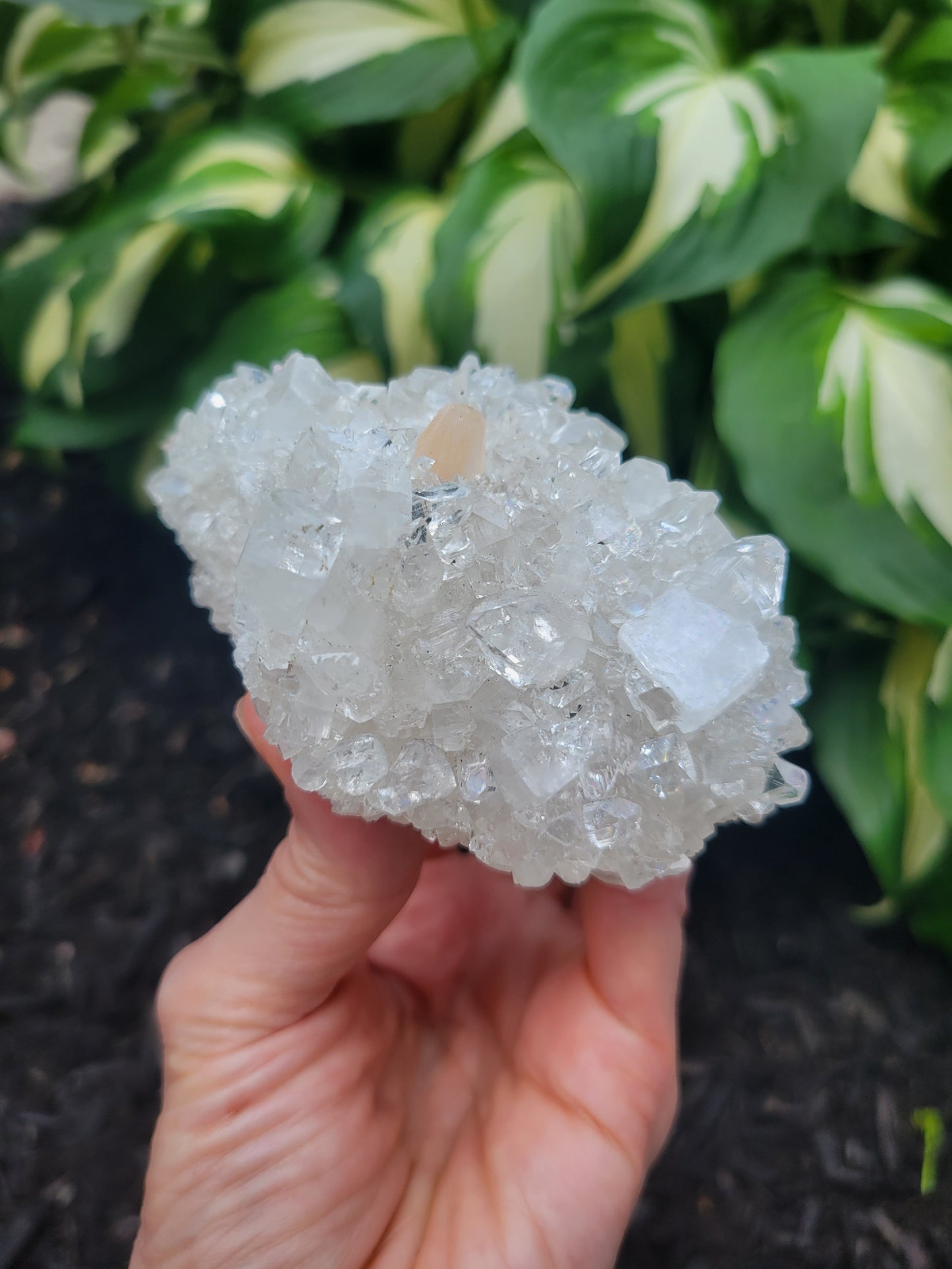 Apophyllite, Calcite and Stilbite from India