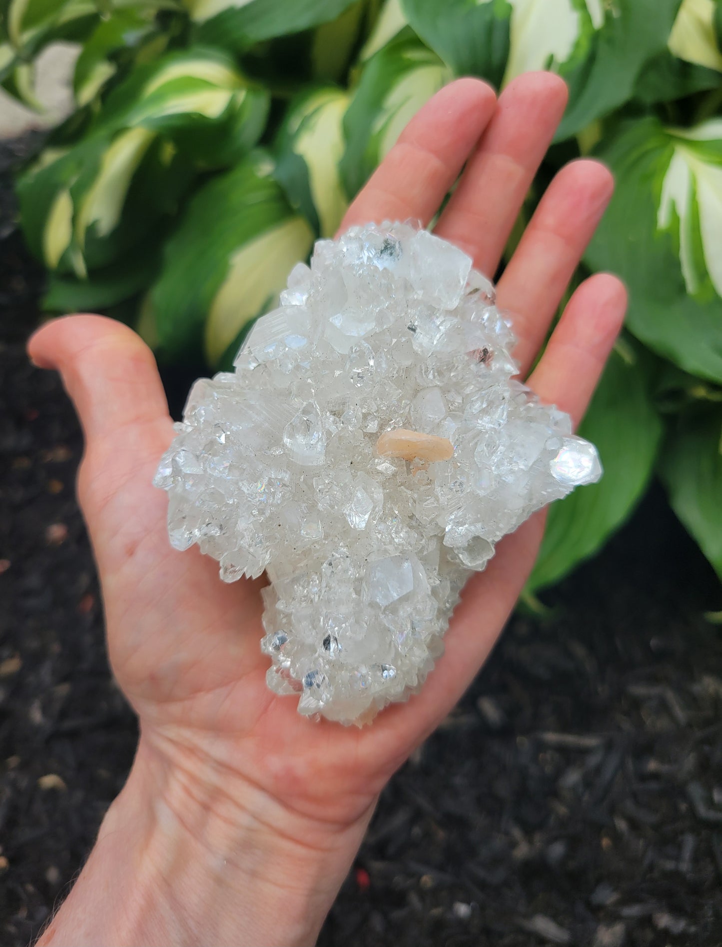 Apophyllite, Calcite and Stilbite from India