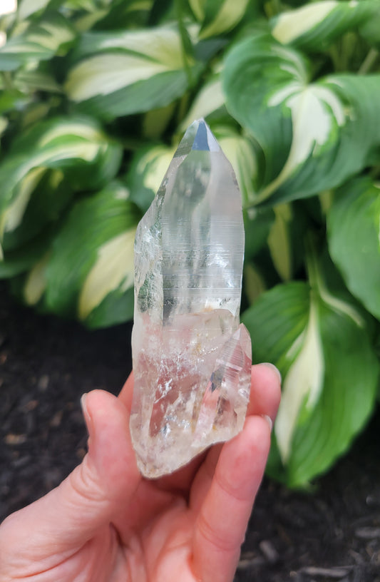 Lemurian Manifestation Quartz with Dendrites from Colombia