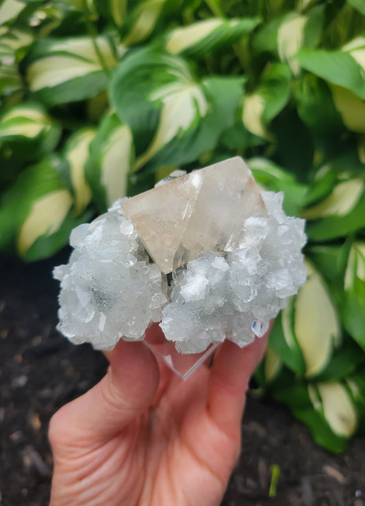 Apophyllite and Calcite from India