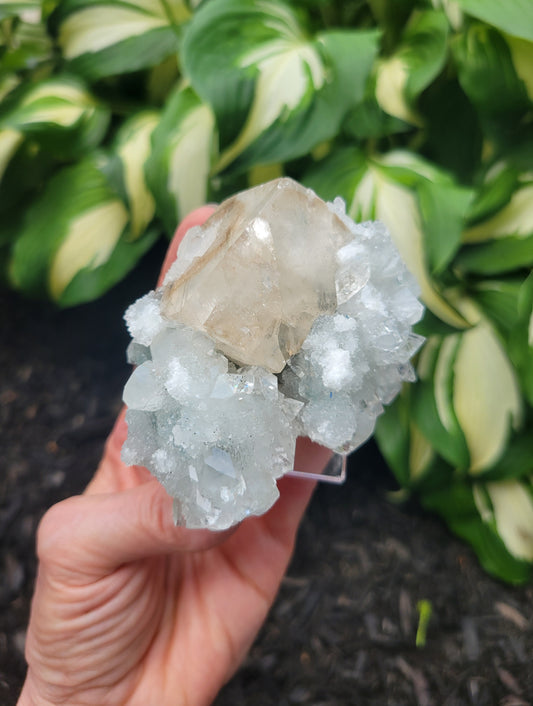 Apophyllite and Calcite from India