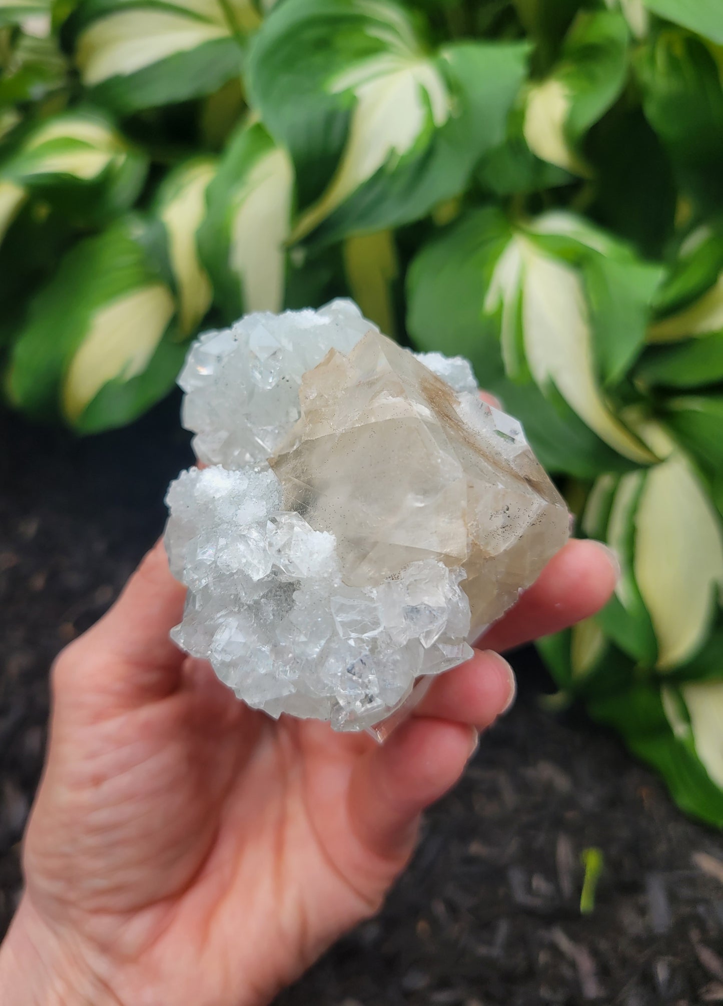 Apophyllite and Calcite from India