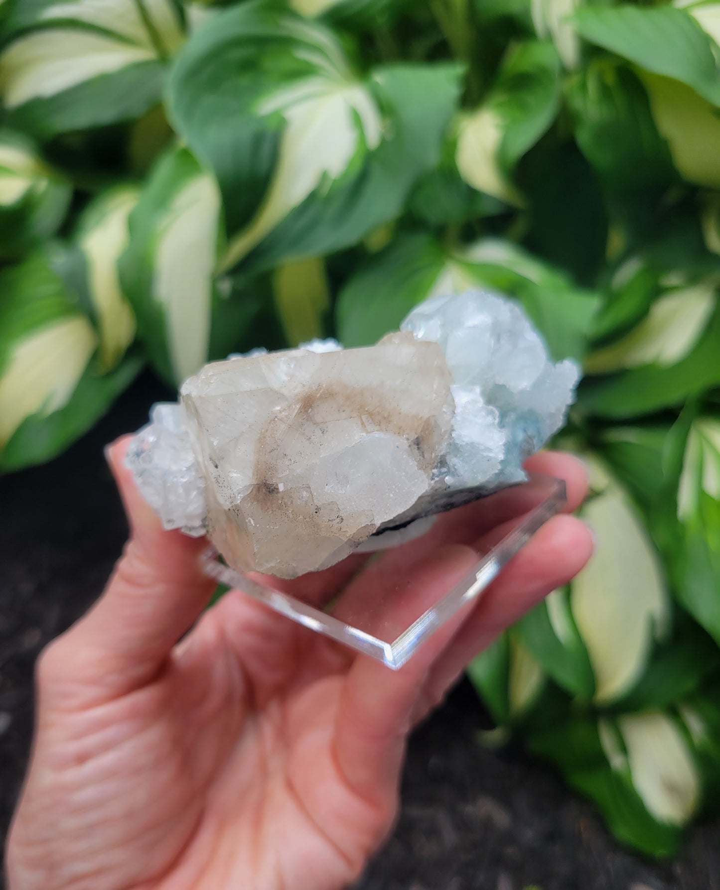 Apophyllite and Calcite from India