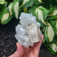 Apophyllite and Calcite from India