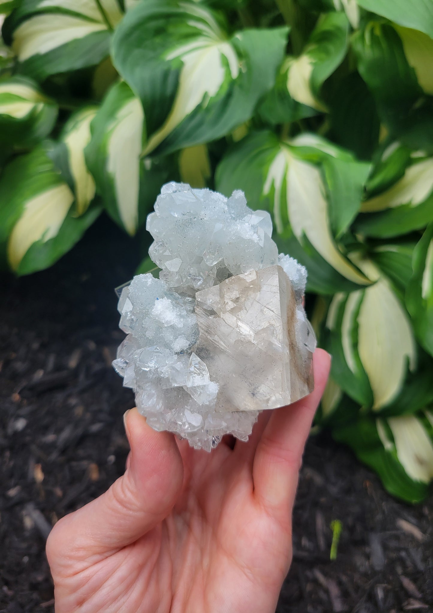 Apophyllite and Calcite from India