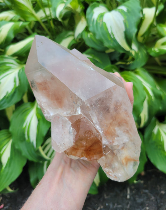 Himalayan Manifestation Quartz with Copper Rutile from India