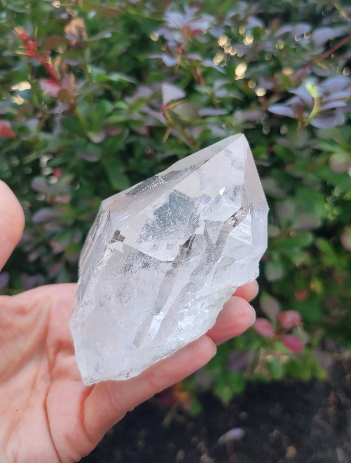 Himalayan Cathedral Quartz Point from Himachal Pradesh, India