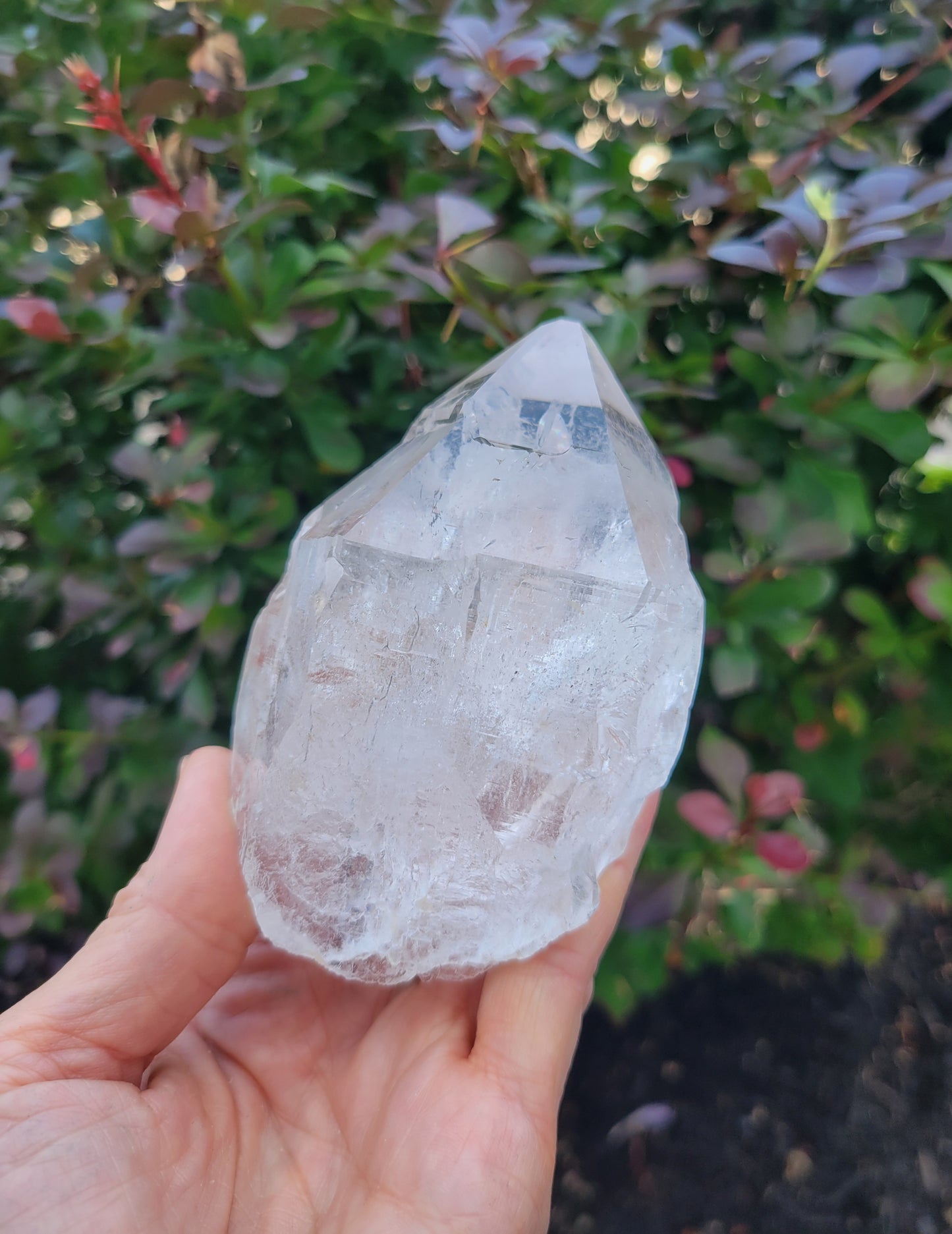 Himalayan Cathedral Quartz Point from Himachal Pradesh, India