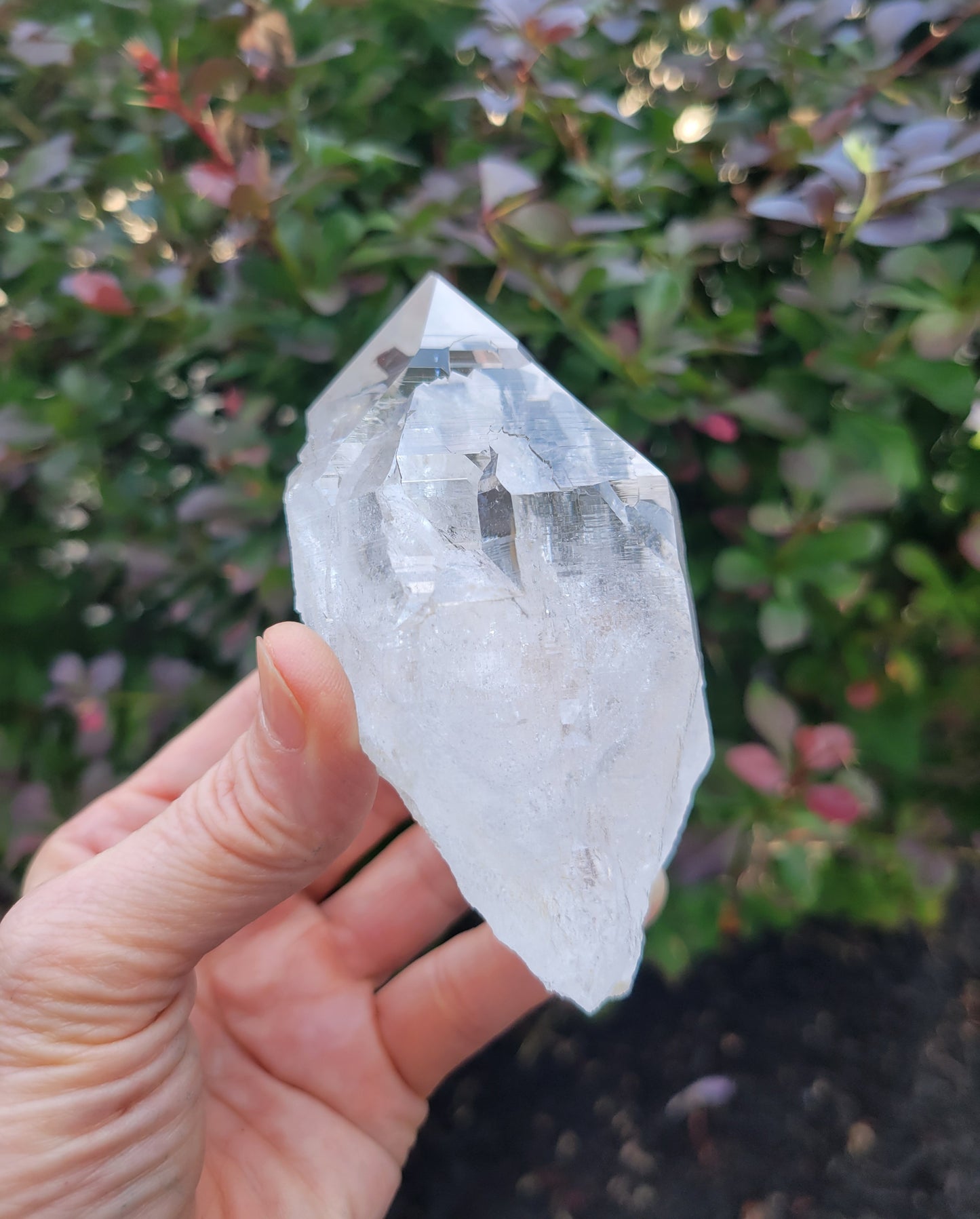 Himalayan Cathedral Quartz Point from Himachal Pradesh, India